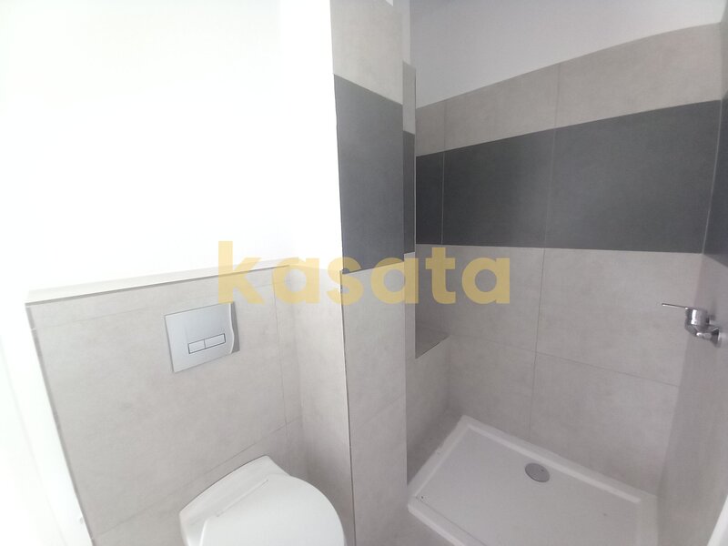 Duplex 140 mp + curte 200 mp | Bragadiru, Crisul Repede - Celofibrei